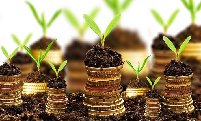 investissement immobilier