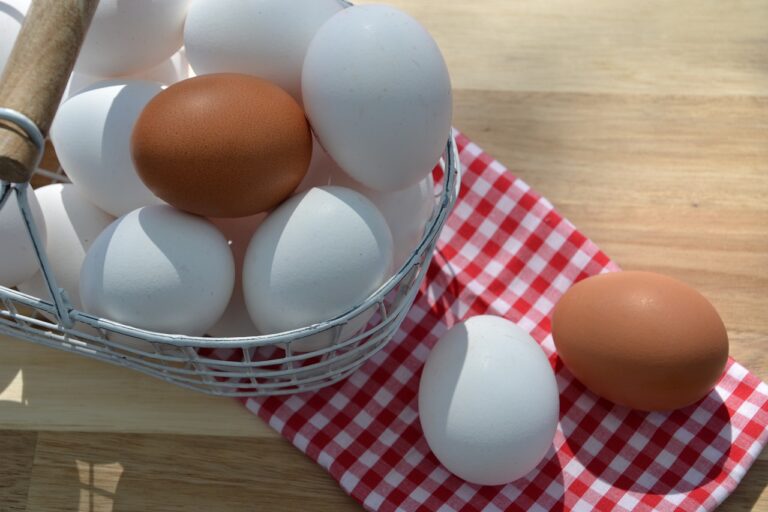 Diversification pourquoi vous devriez investir dans les SCPI