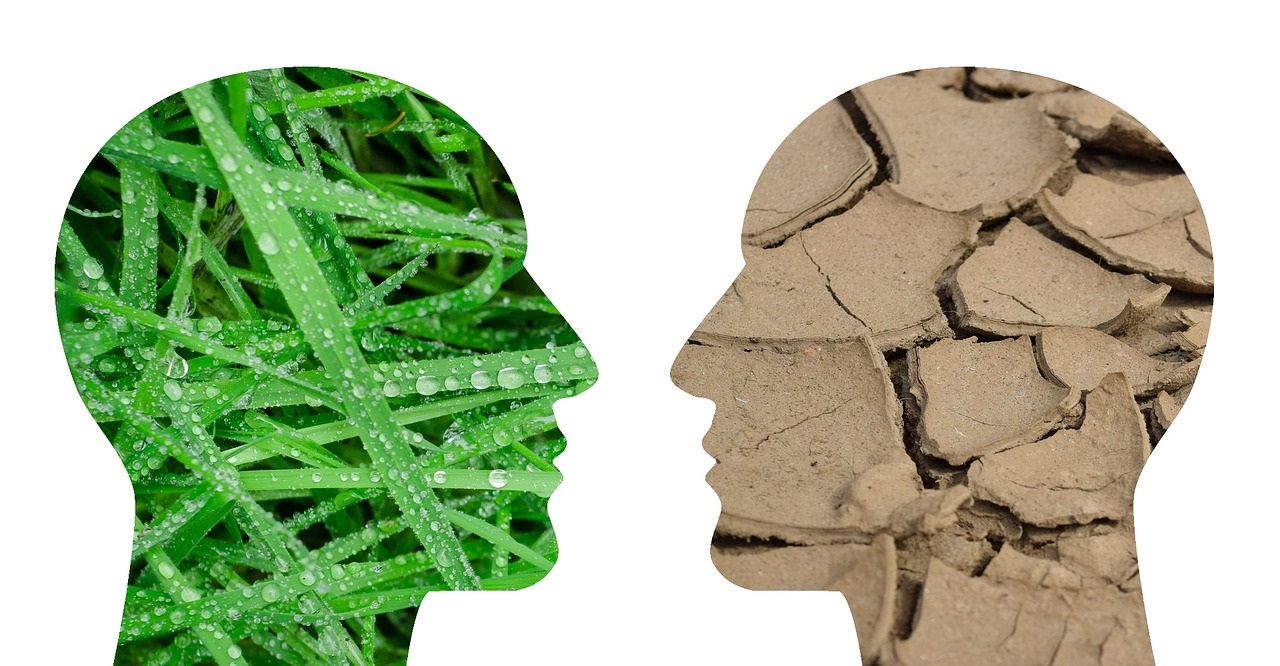 Adaptation au changement climatique dans l’immobilier