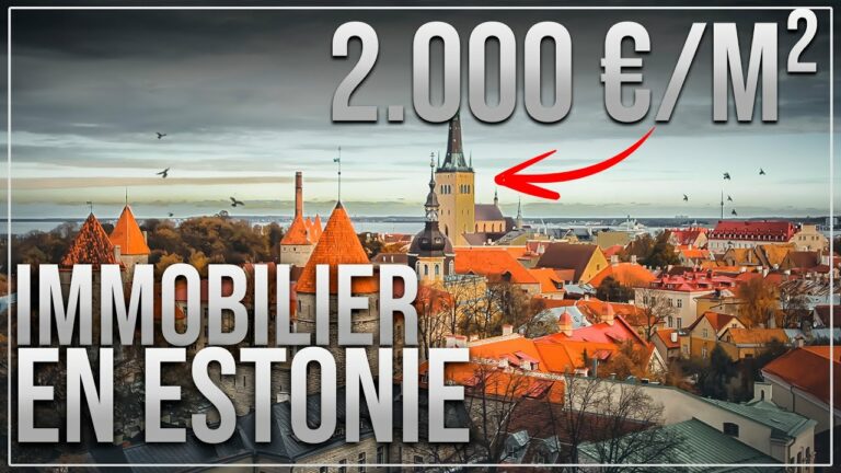 [Vidéo] Que vaut l’investissement en Estonie ?