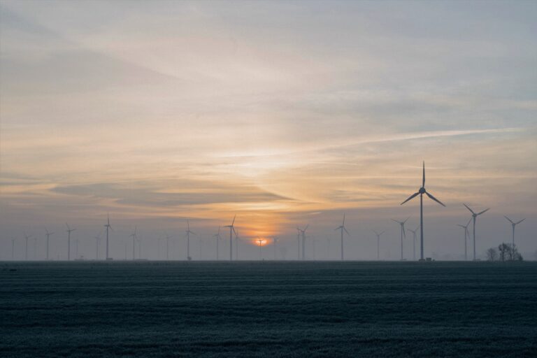 Des nouvelles du développement éolien en mer du Nord